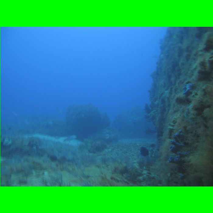 Dive WP Wrecks 25-Oct-09_297.JPG